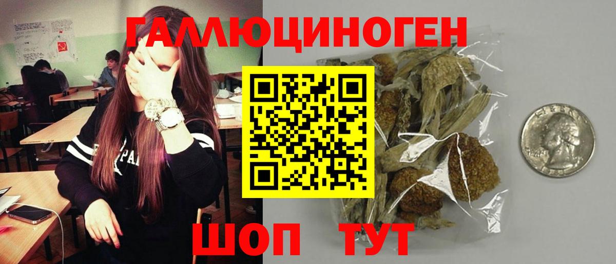 Галлюциногенные грибы мицелий  Псилоцибиновые грибы прущие грибы  Вичуга  Вход с VPN 